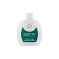 DEO BREEZE 100 ML VERDE 206/1