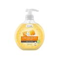 SAPONE LIQUIDO SOFT&SENSITIVE 500 ML LATTE E MIELE       4335P