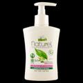 INTIMO WINNI'S NATURAL THE VERDE250ML 084060