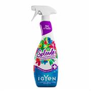 DEO PROFUMATORE AMBIE. IGIEN/ANTIBAT. SPLENDEO 750ML FRUTTA IGYEN SP6