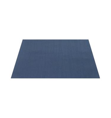 TOVAGLIETTA BLU FISH 30X40 250pz INFIBRA I-1548N