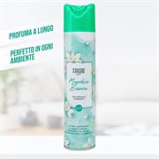 DEO SPRAY AMBIENTE IRGE 300ml MUSCHIO BIANCO