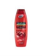 SHAMPOO PALMOLIVE 350 ML BRILLIANT COLOR