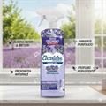 DET. MULTISUPERFICE BLOOM ALCOOL PROF.LAVANDA COCCOLATEVI 750ml MORONI
