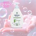 SAPONE LIQUIDO DERMOMED 300ml PUREZZA ALOE CS1045
