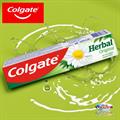 DENTIFRICIO COLGATE 75ml HERBAL 61051731